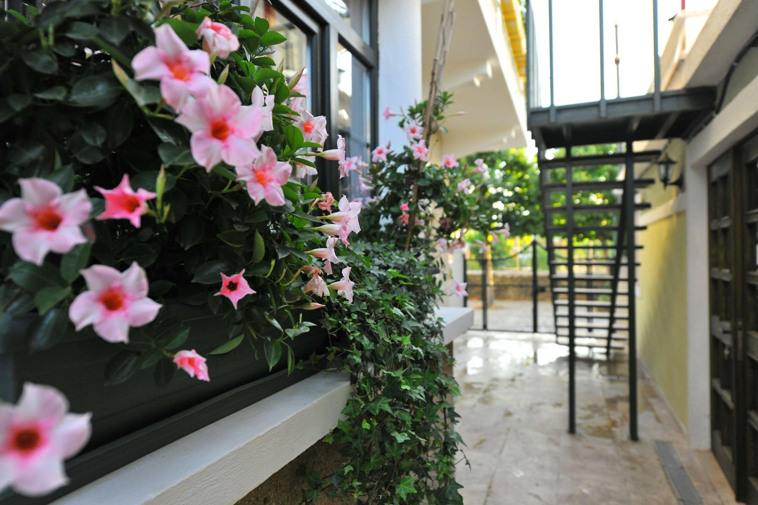 Petrino Goekceada Hotel&Kitchen İmroz Eksteriør bilde